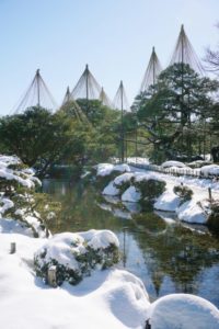 兼六園の雪吊り（石川県観光公式サイトより）